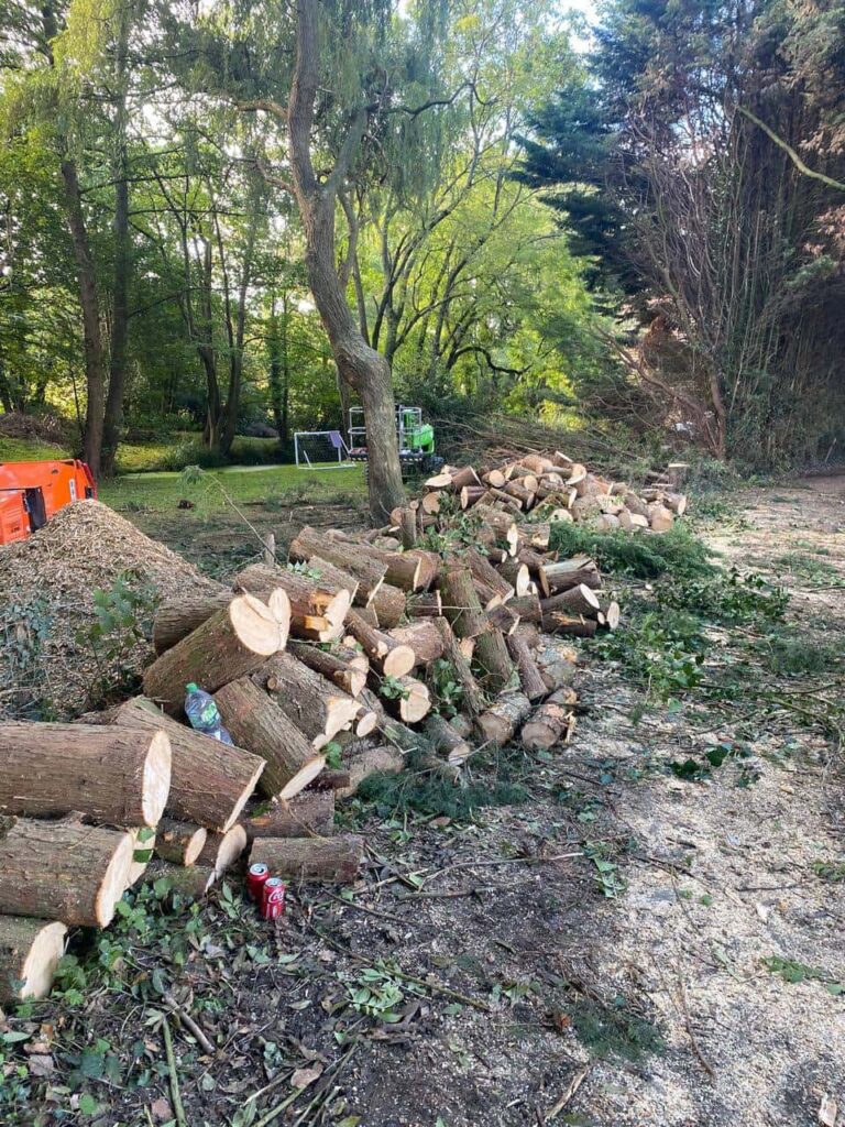 This is a photo of an overgrown large garden, which is in the process of having tree removal. The photo shows a stack of logs along the left hand side, from all the trees which are being removed. Photo taken by Harleston Tree Surgeons