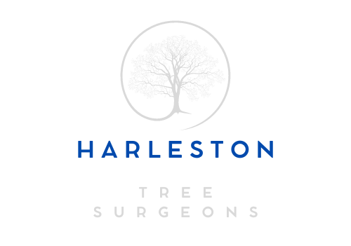 Harleston Tree Surgeons